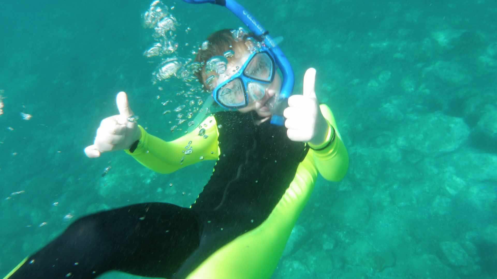 Bear_underwater
